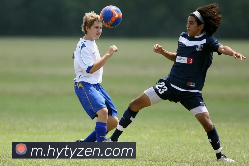 华亿体育平台生态图