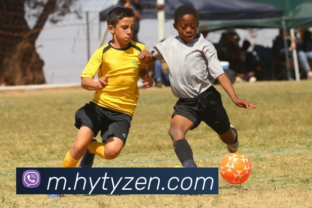 华亿体育APP 封面图